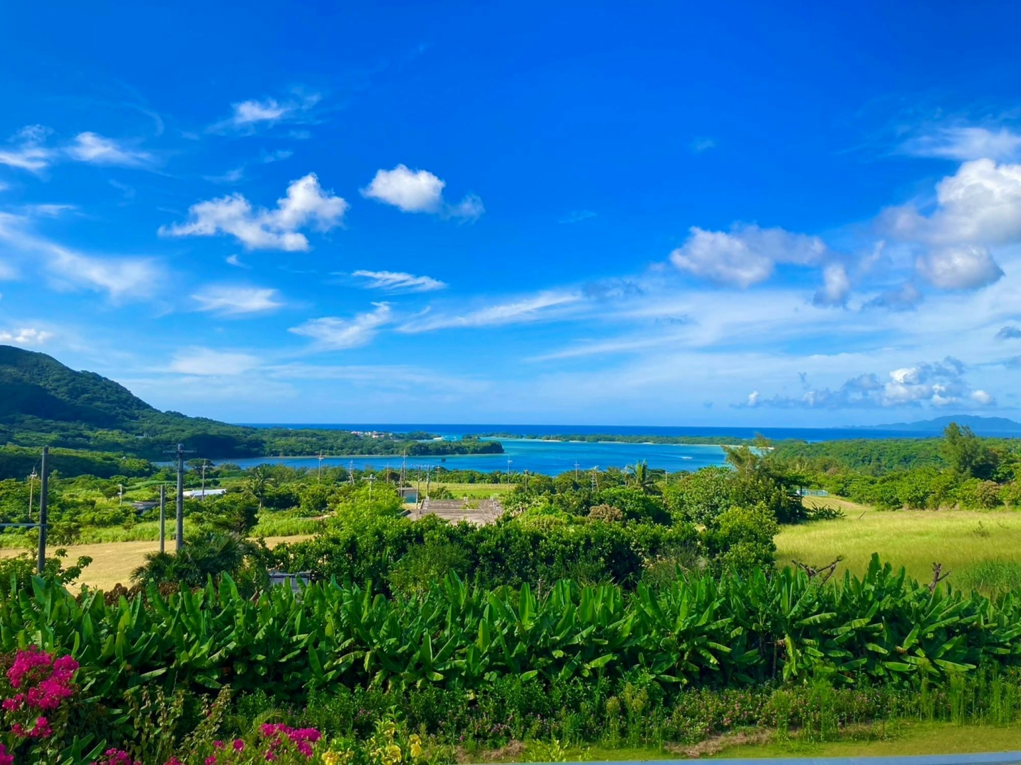川平湾を一望できる部屋