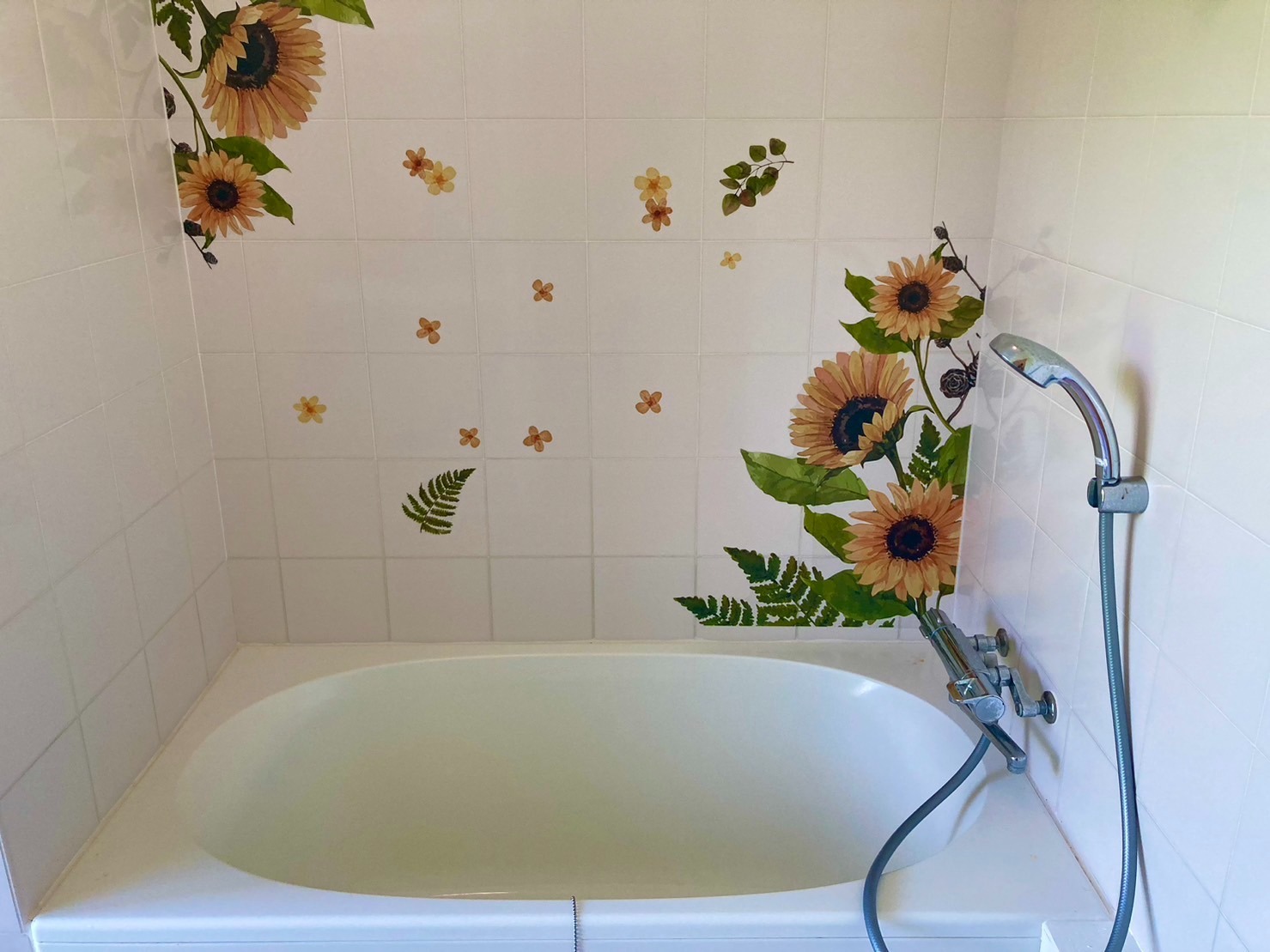 ニコハウスC のnull