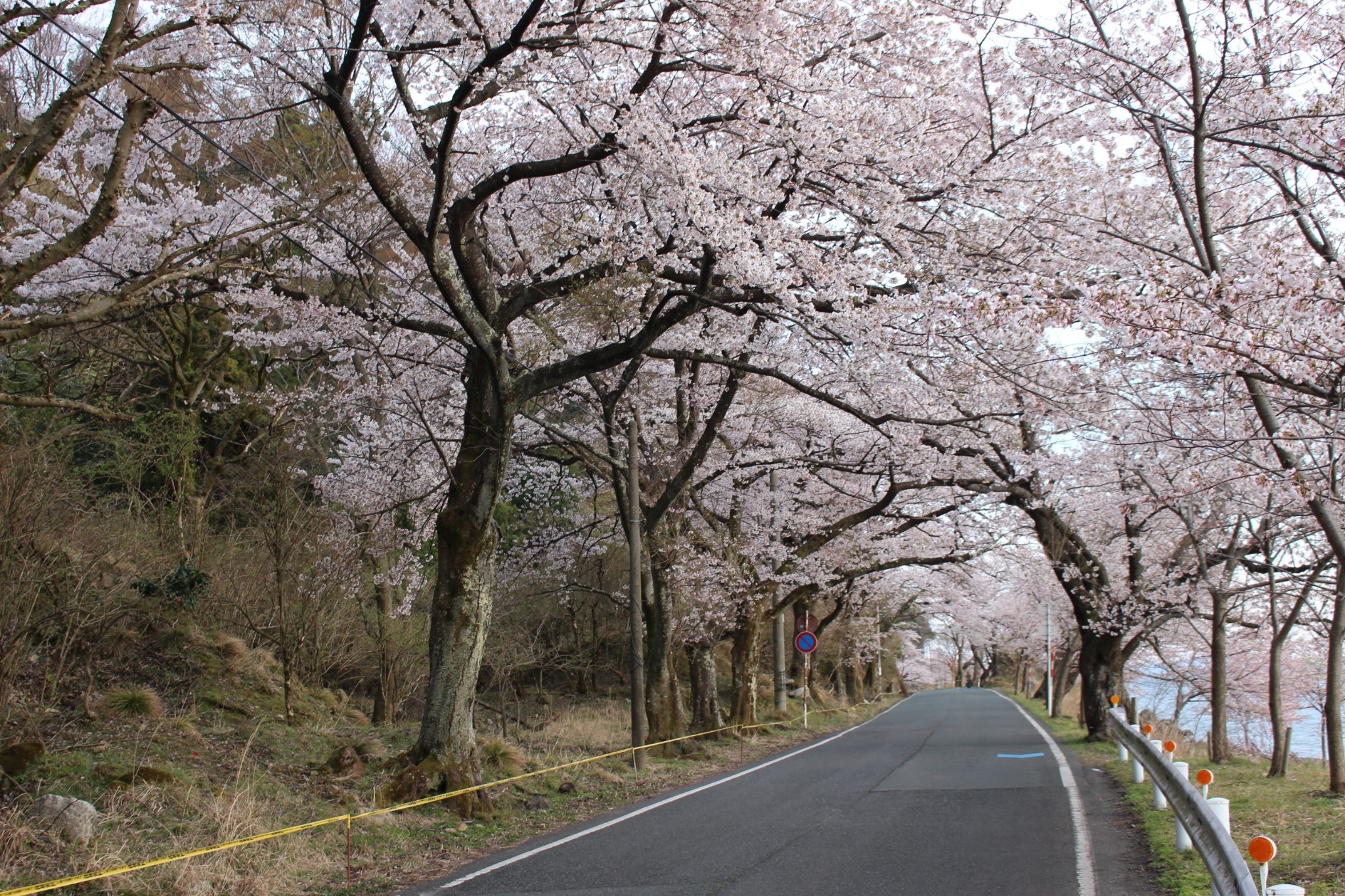 beau lac biwako のnull