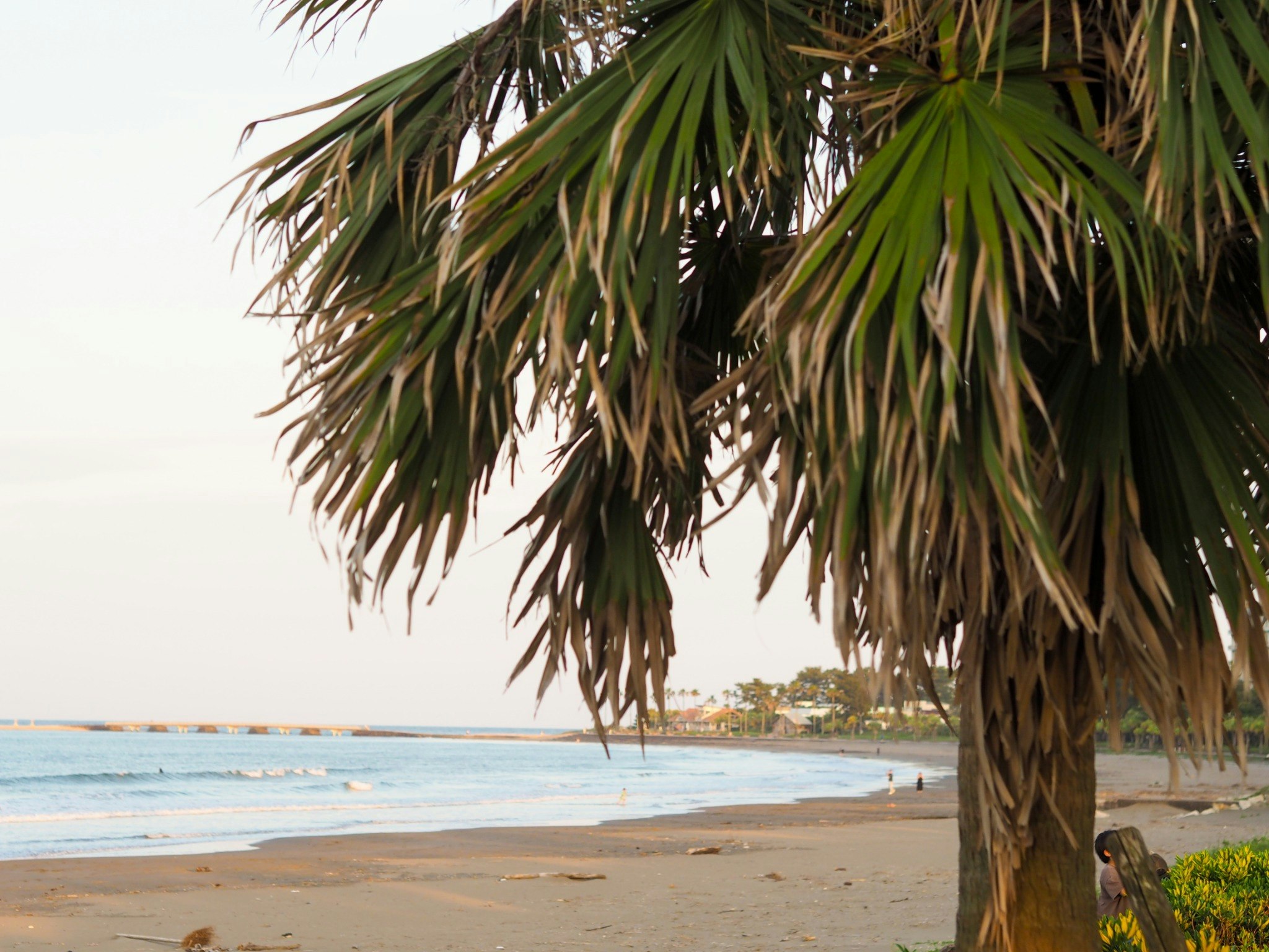 【禁煙】【一棟貸切】Guest House aoshima tei