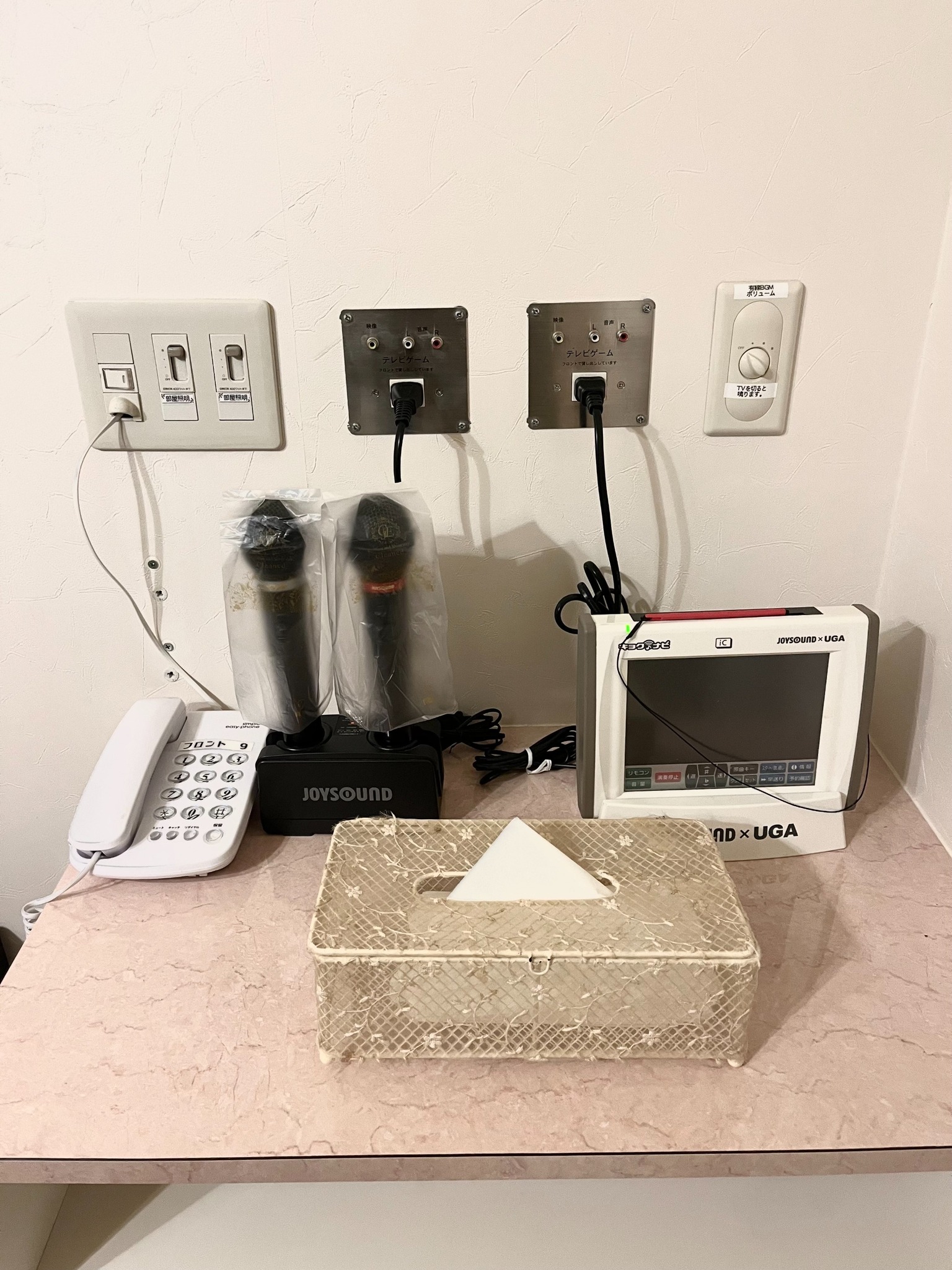 メゾネットタイプ カラオケルーム付き