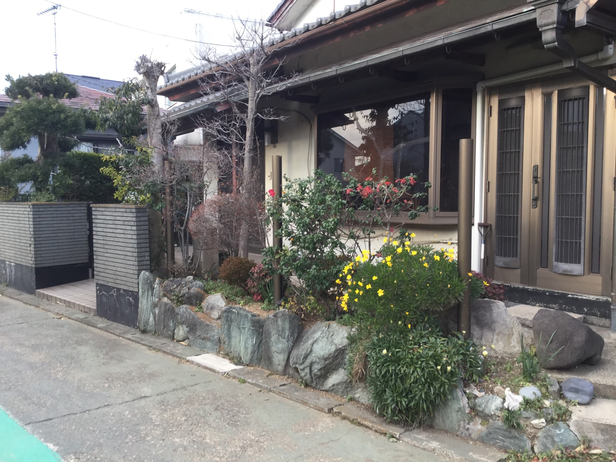 いちご荘 個室 普通サイズペット込み