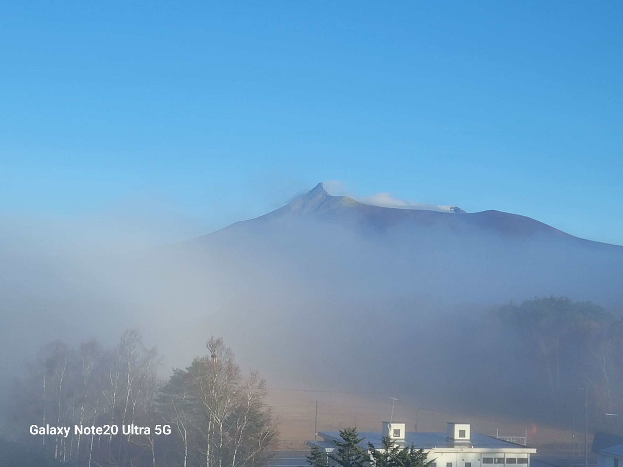 大沼公園kenzoの四季屋 のnull