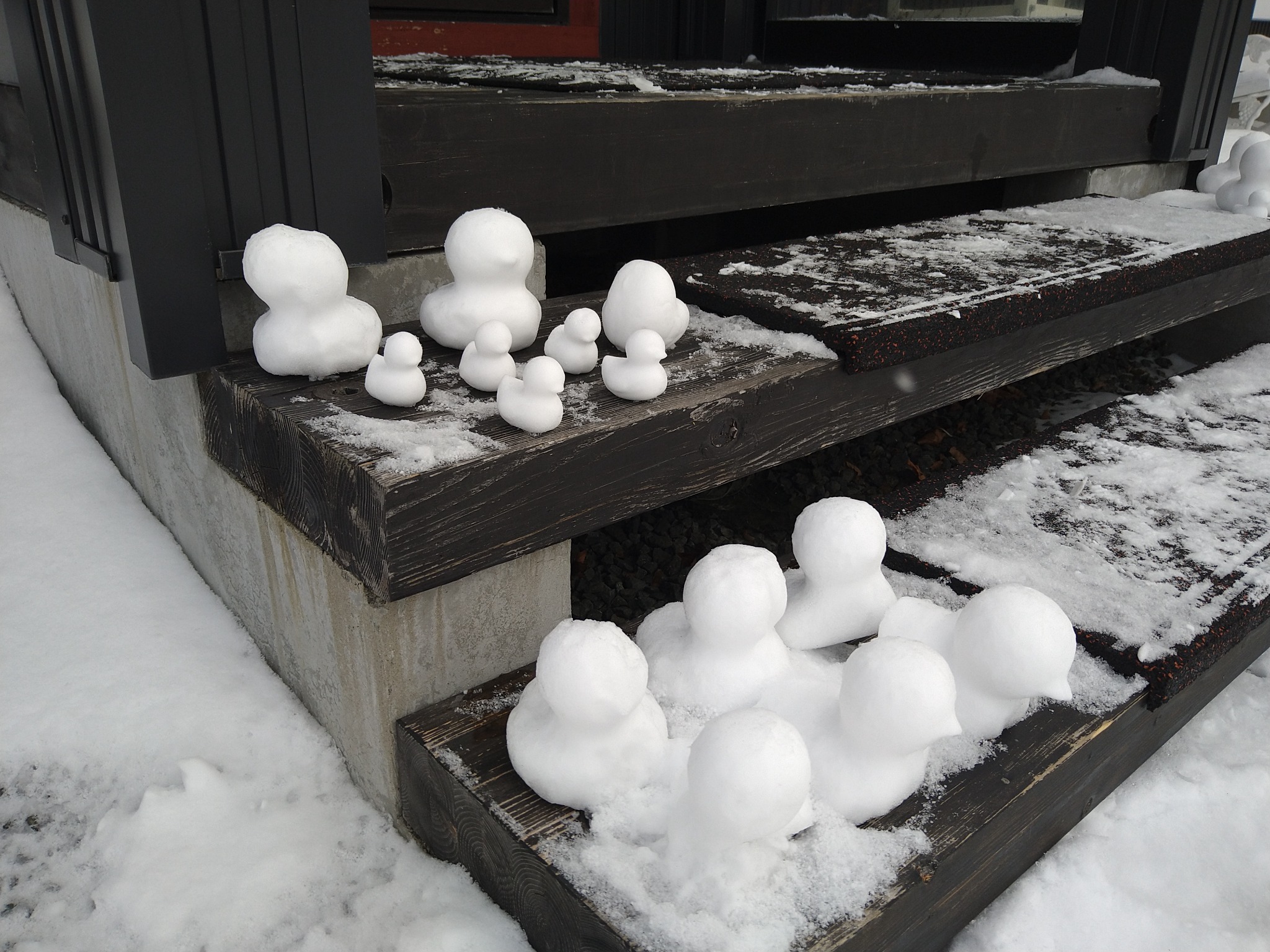 ゲストさんが作った雪のヒヨコ?