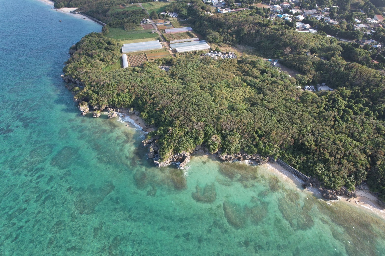 美ら海水族館はスグ近く♪寝具持ち込みで追加人数無料!!プール付きプライベートグランピング場!!