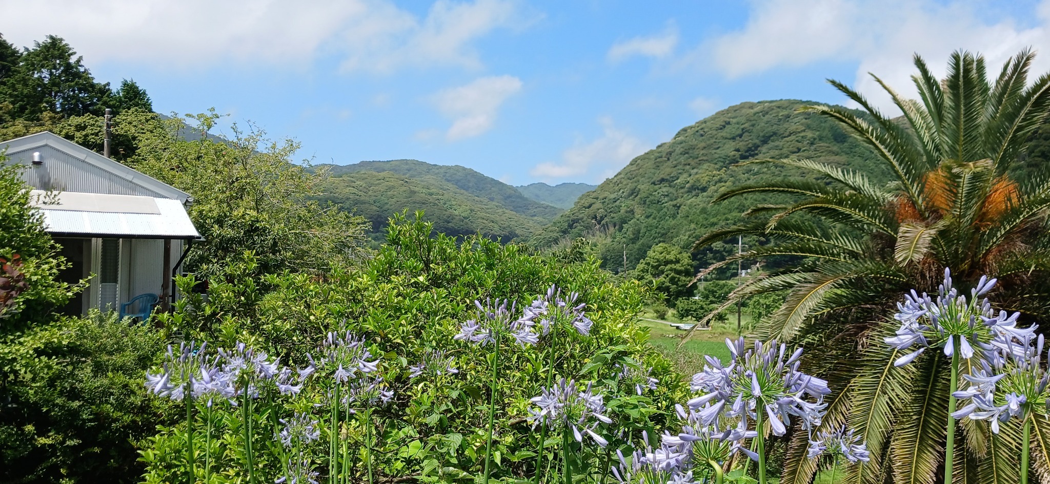里山生活を楽しむ空間