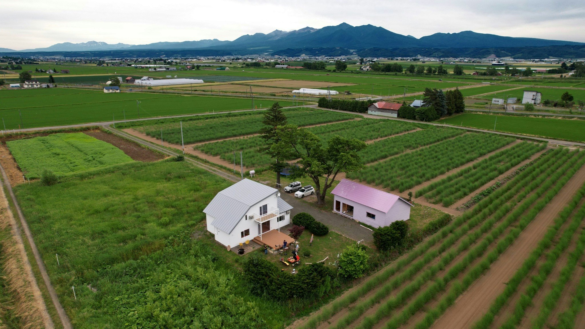 庭付き貸切の一軒家【中富良野】カラフルなデザインハウス/BBQ/焚き火