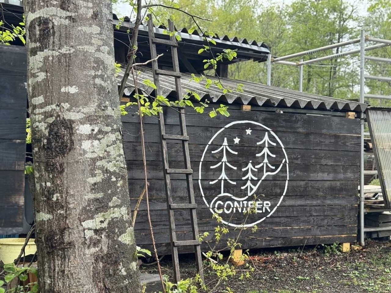 タタミバンガロー【定員4名】※子供は入力せず現地清算になります。