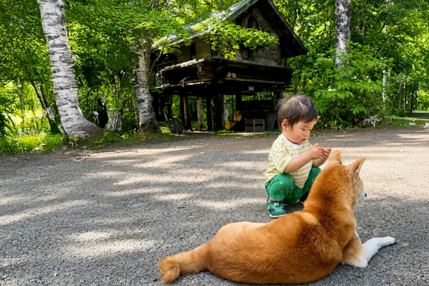  パインバンガロー【定員3名】※子供は入力せず現地清算になります。