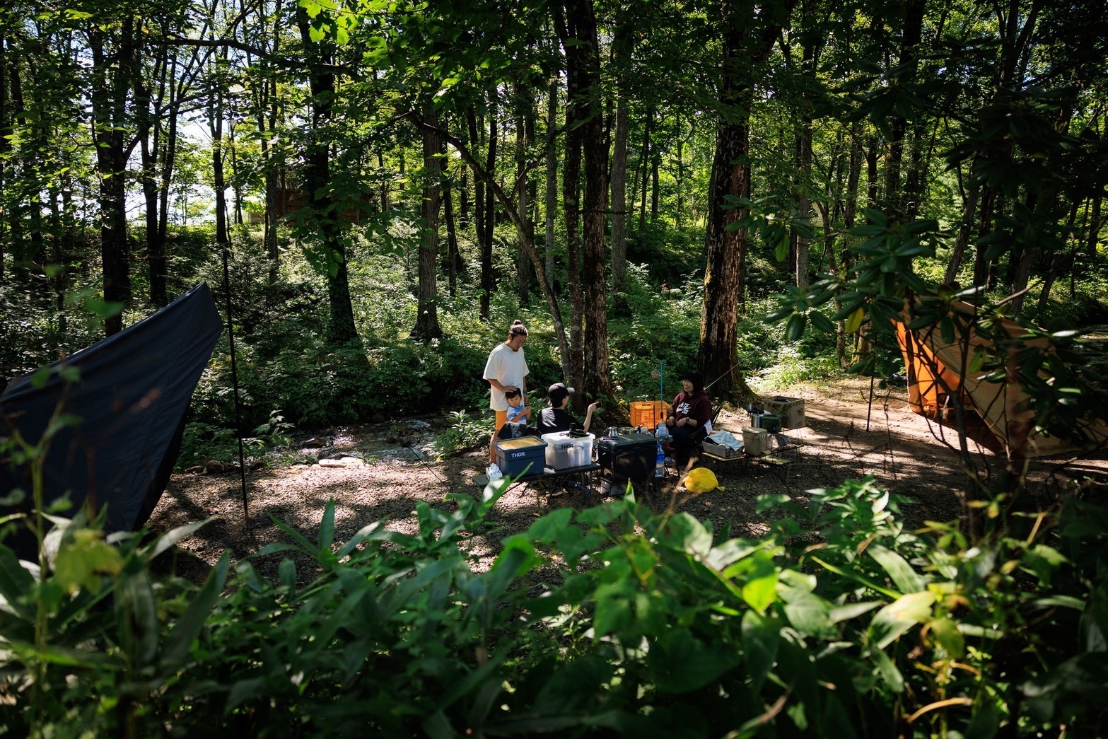  屋根裏バンガロー【定員3名】※子供は入力せず現地清算になります。