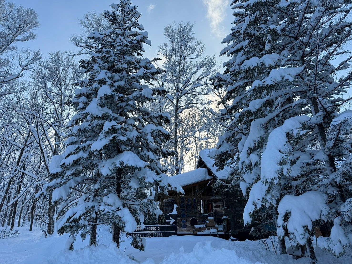  屋根裏バンガロー【定員3名】※子供は入力せず現地清算になります。