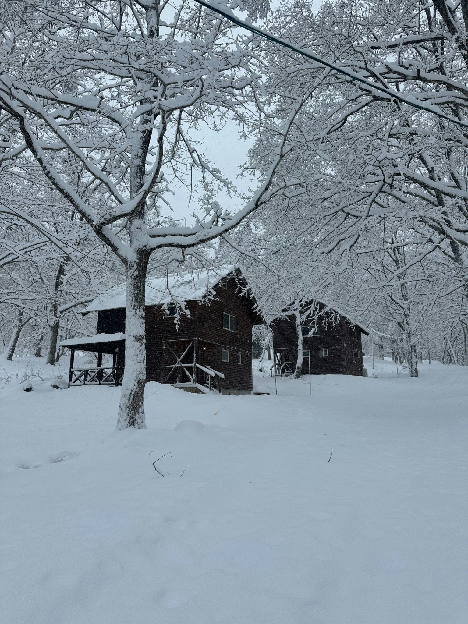 コテージ(林間)
