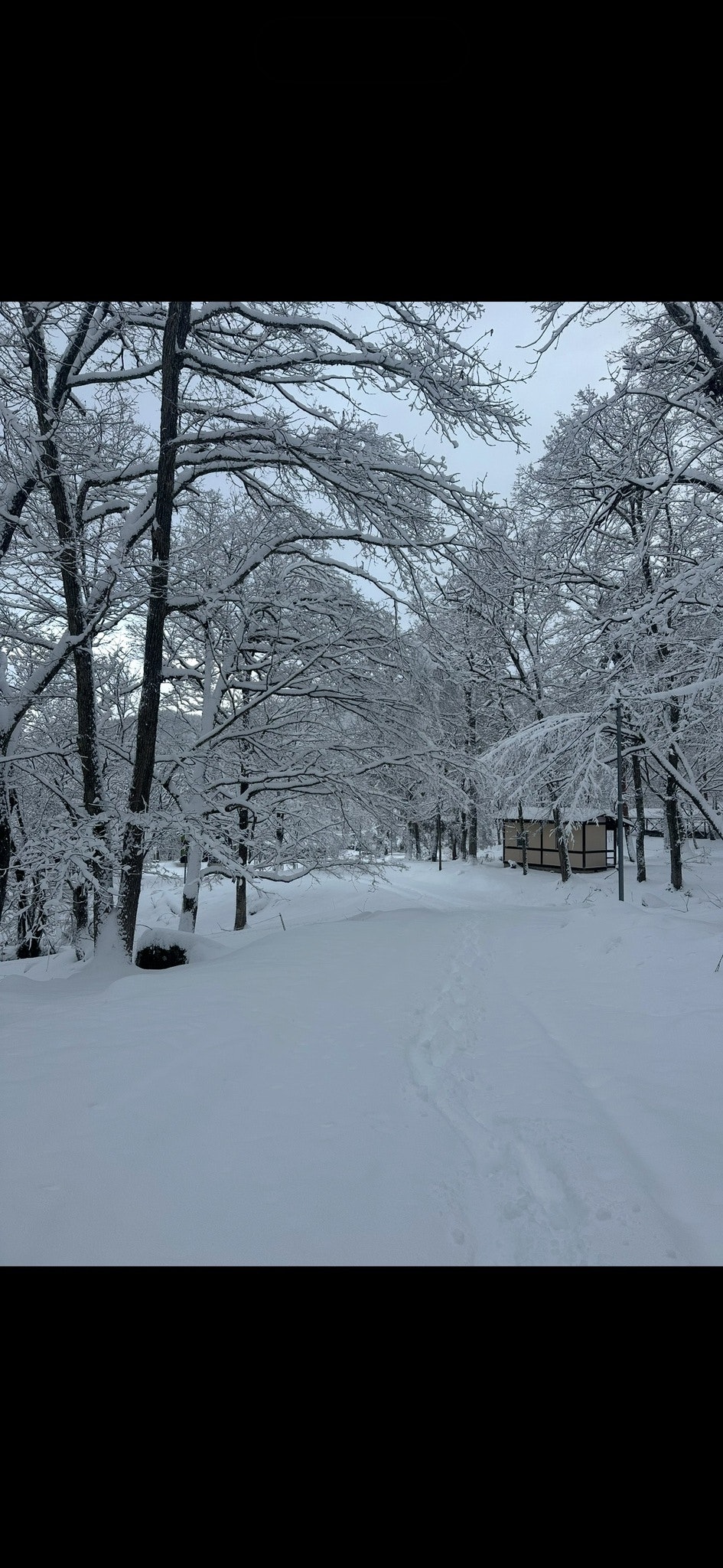 コテージ(林間)