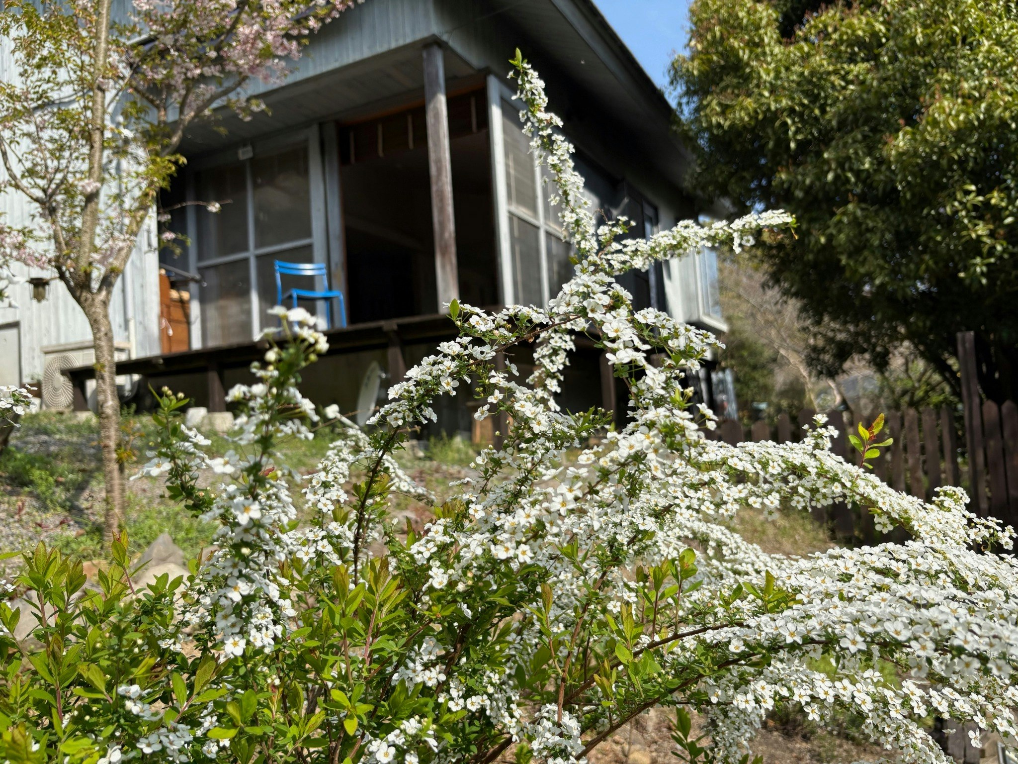 Mineyama Green Villa 新緑のガーデンリゾートを満喫する