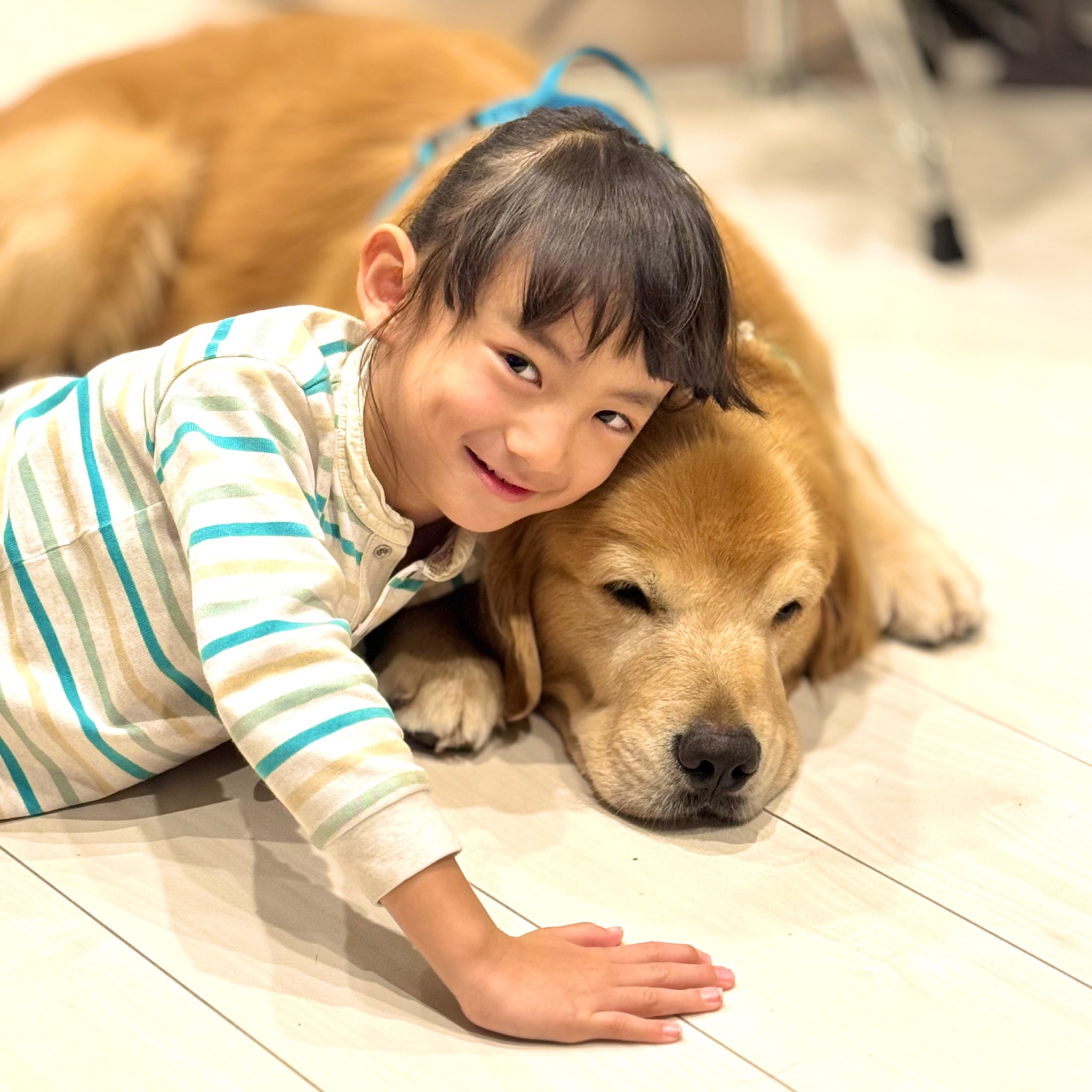 Shirahama Base Camp 白浜ベースキャンプ/民泊のnull