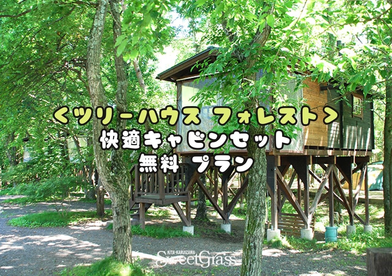 ツリーハウス フォレスト+快適キャビンセット付き