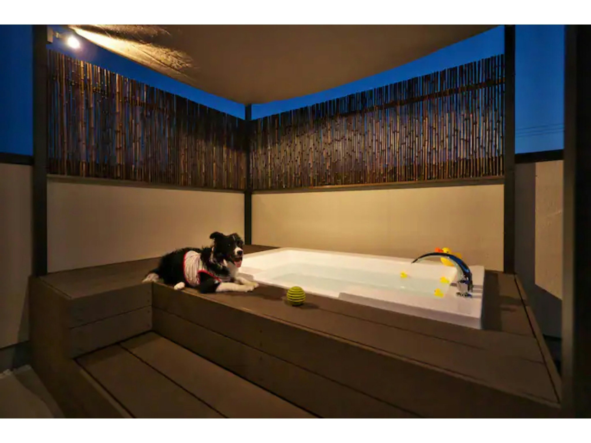 愛犬4頭まで同伴可能!家族で過ごせる屋上テラスとジャグジー付き一軒家|BBQ可