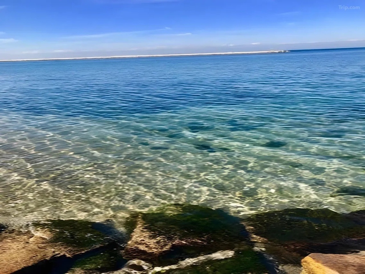 海