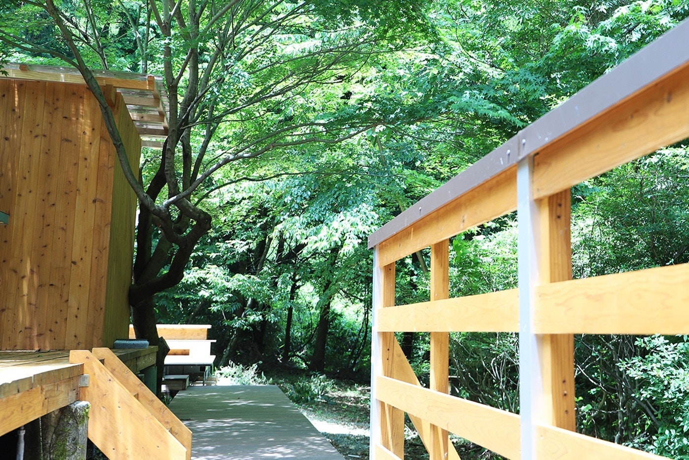 薪ストーブ&畳のある部屋