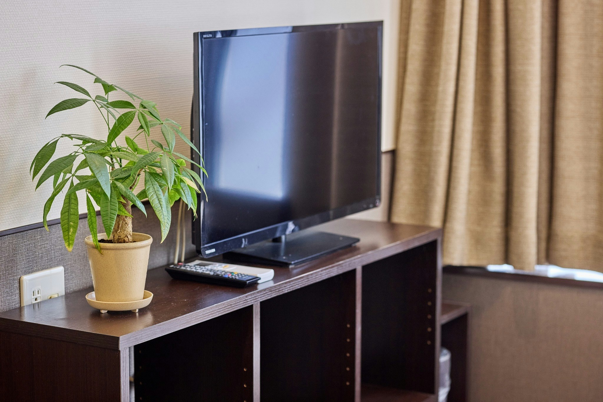 ダブルベッド1台+ソファーベッド1台