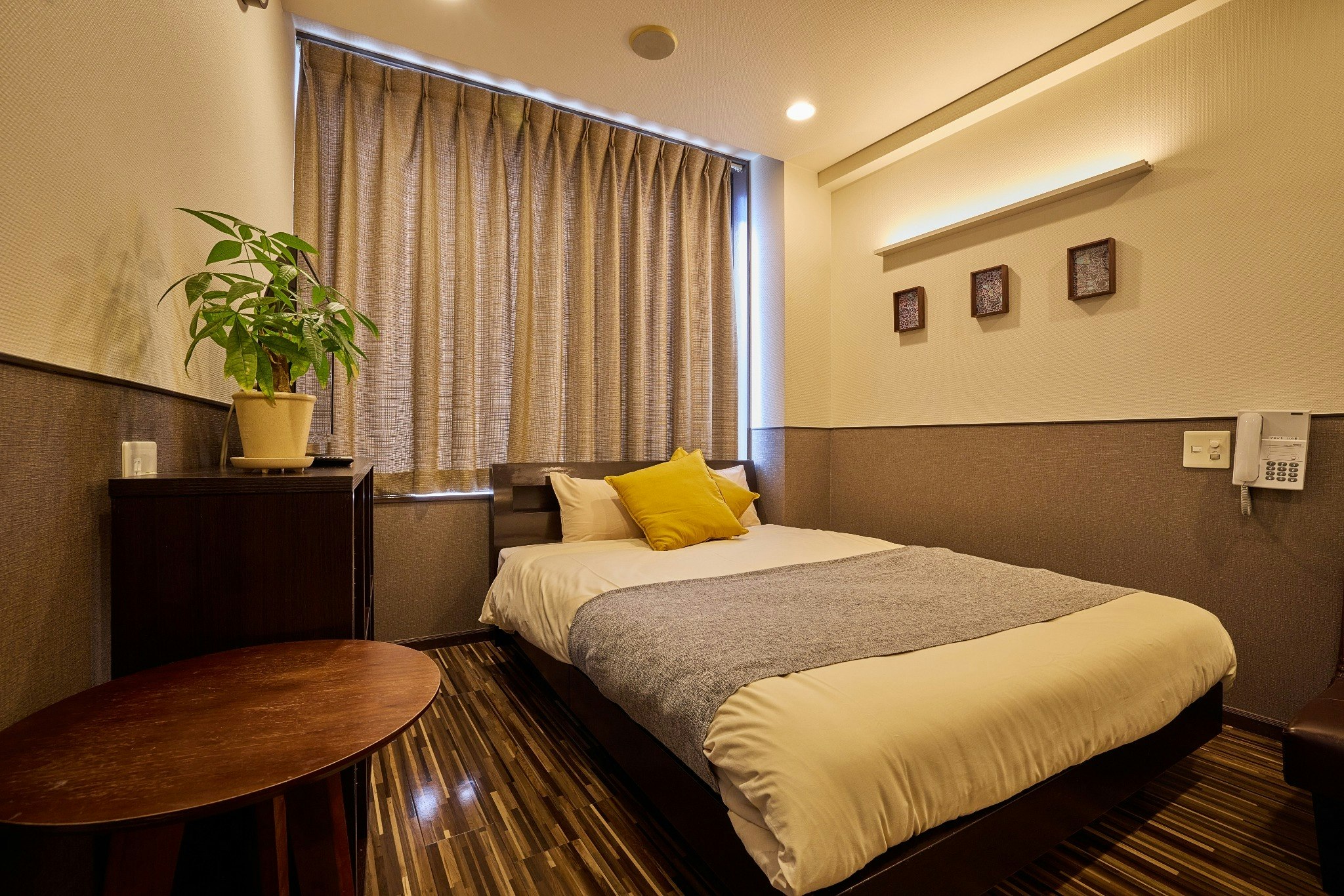 ダブルベッド1台+ソファーベッド1台