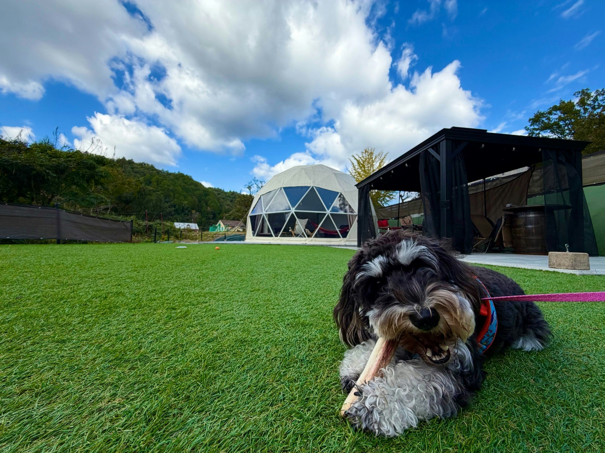 【食事付】【小型犬OK】温泉券&朝はホットサンドで食べる菓子パンサービス★グランピングBBQディナー