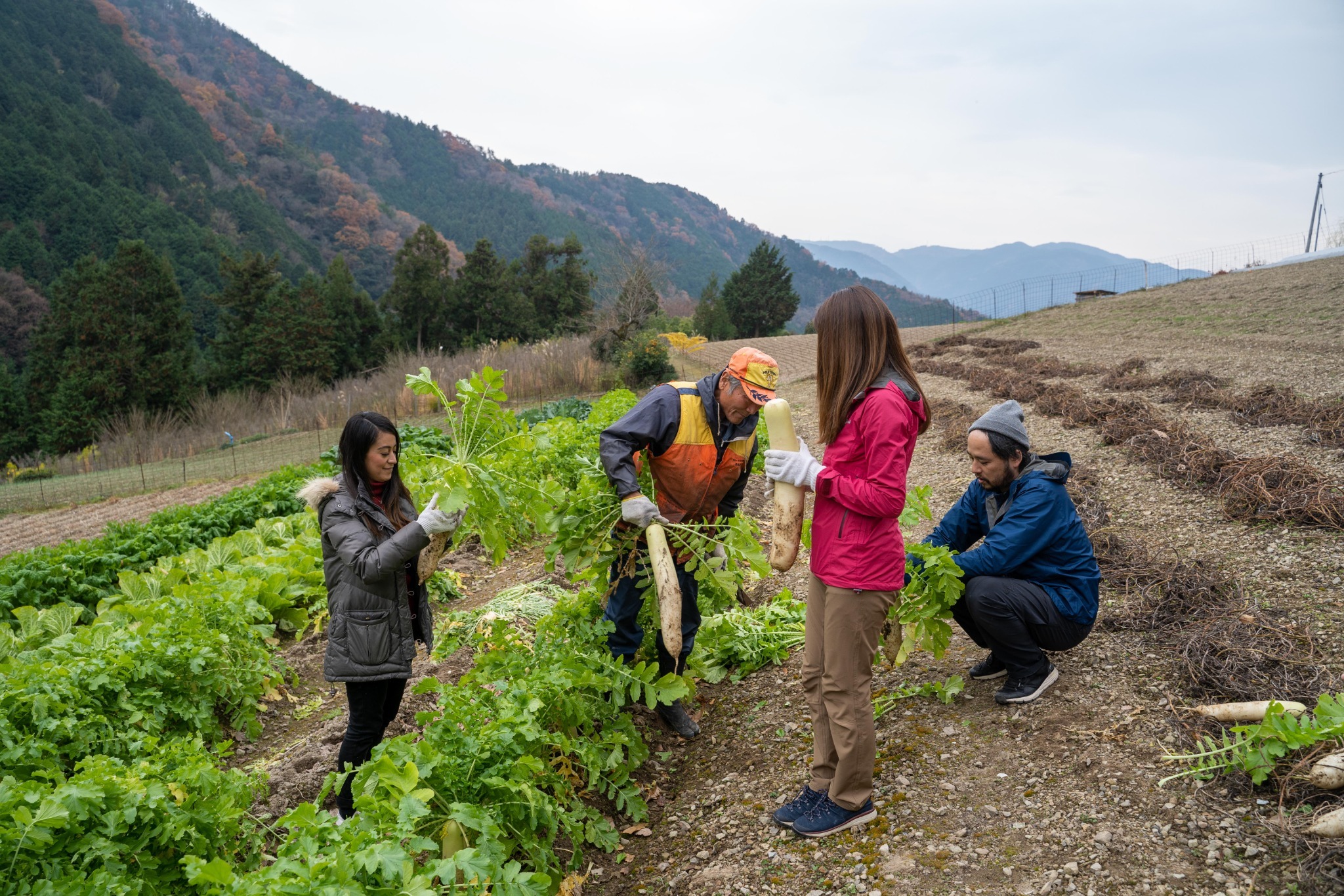 民宿 うり坊 のnull