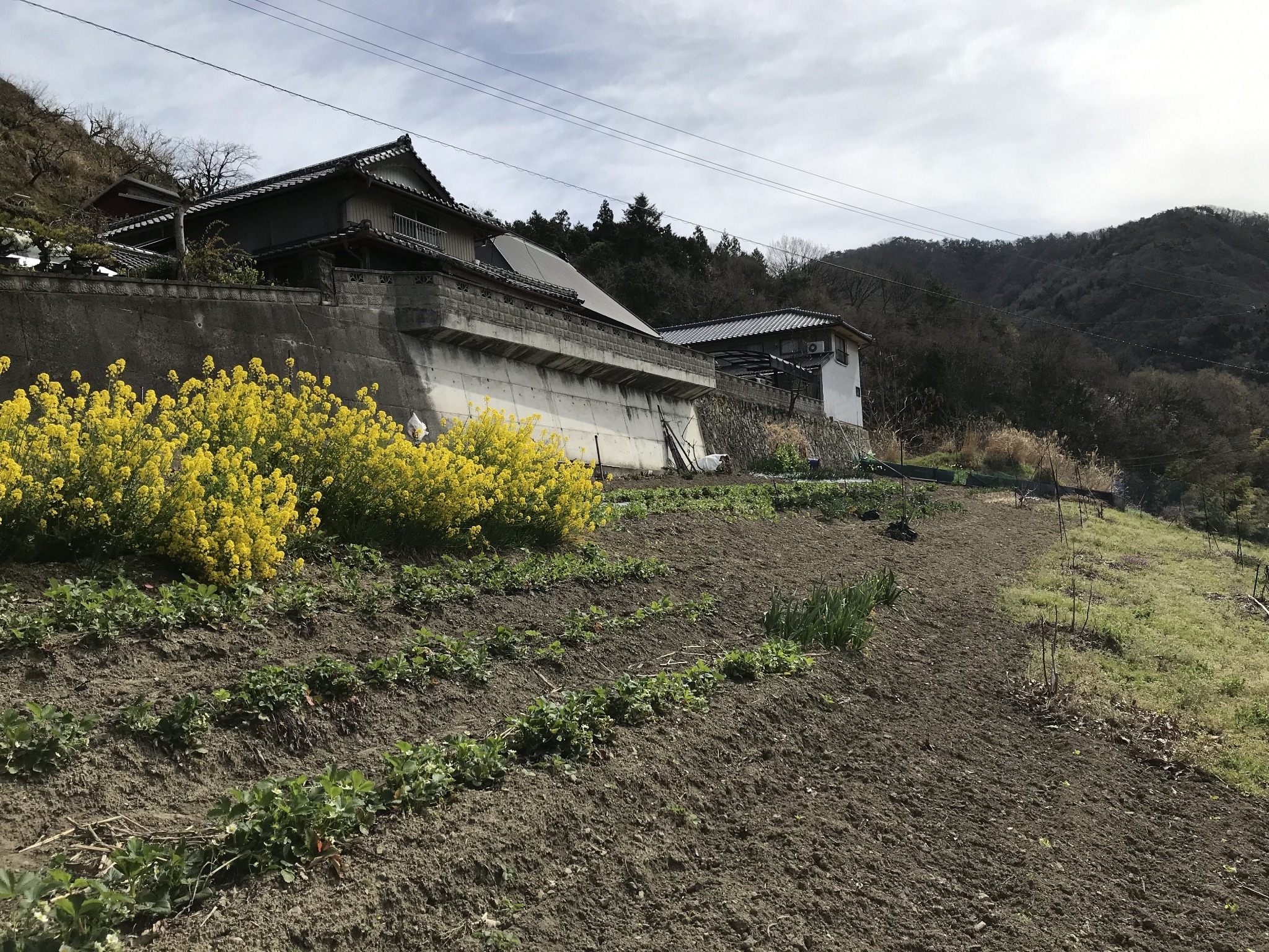 霊峰剣山マウンテンビュー里山ハイキング農業体験 お山の民宿 茅蜩ひぐらし