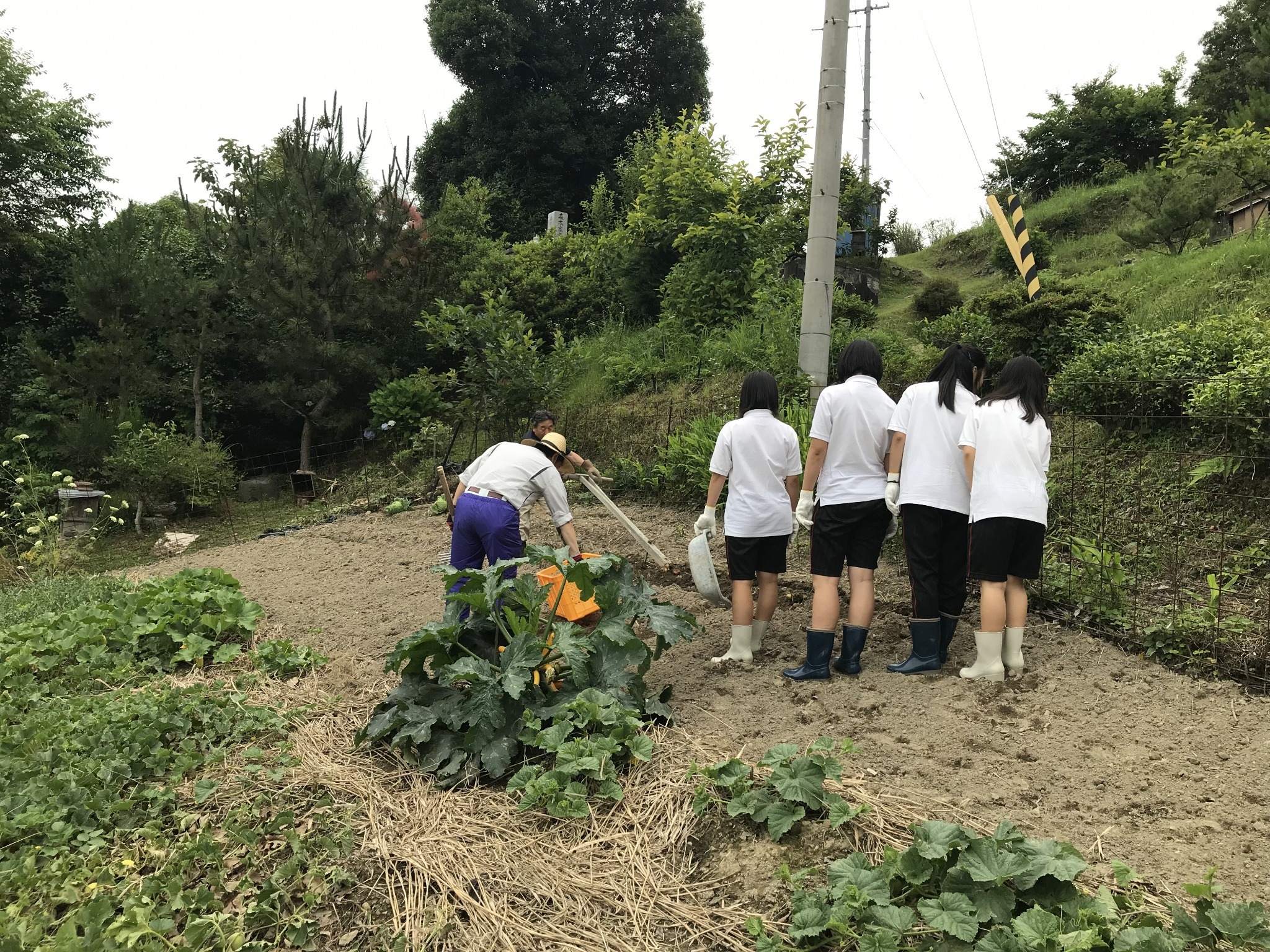 霊峰剣山マウンテンビュー里山ハイキング農業体験 お山の民宿 茅蜩ひぐらし