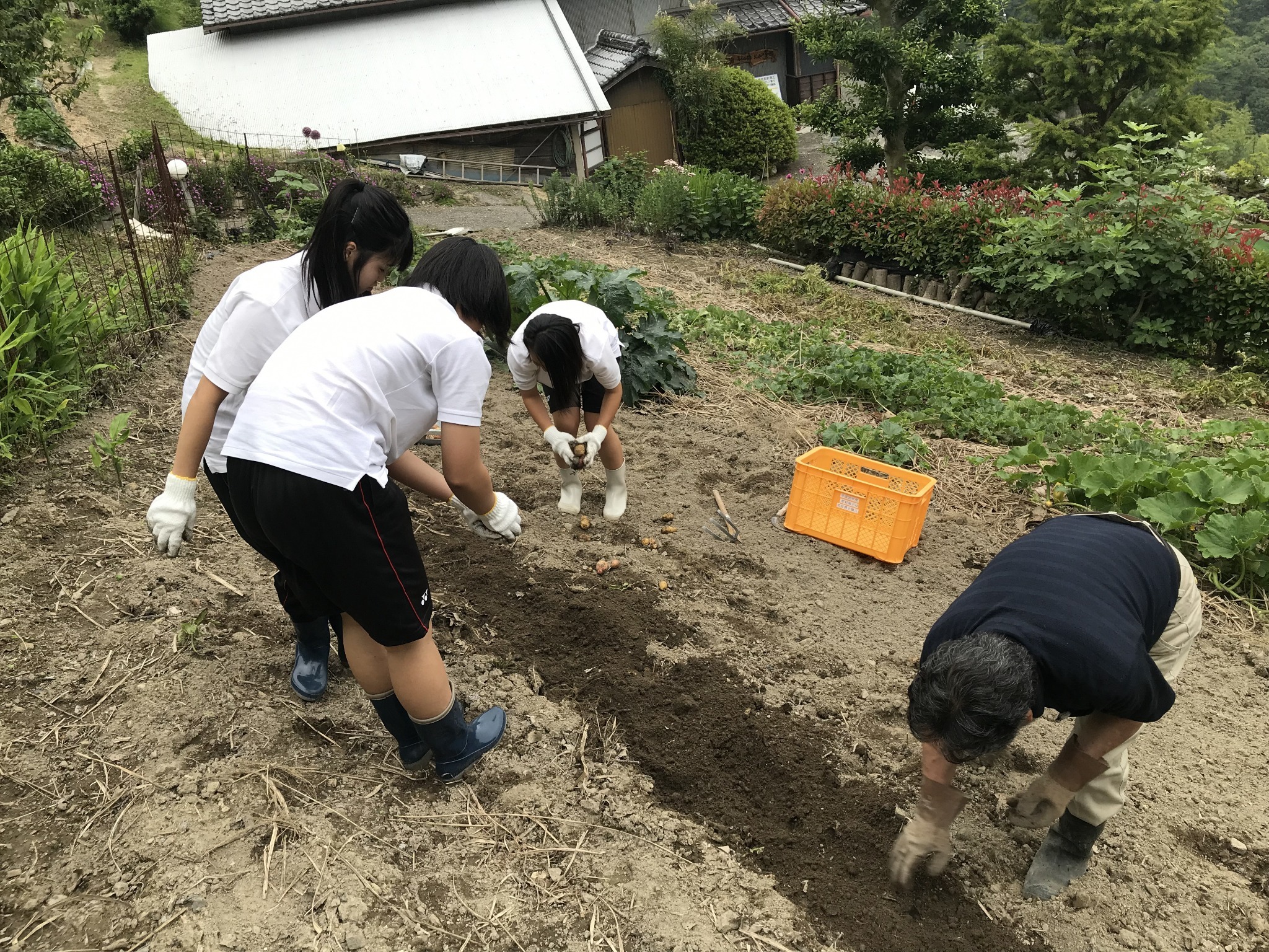 霊峰剣山 マウンテンビュー 四季の花々に囲まれて里山ハイキング お山の民宿 茅蜩ひぐらし ^のnull
