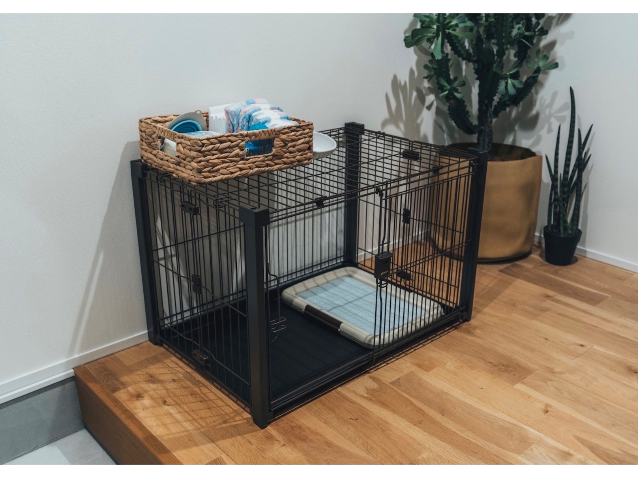 Viila NO&deg;00 のnull