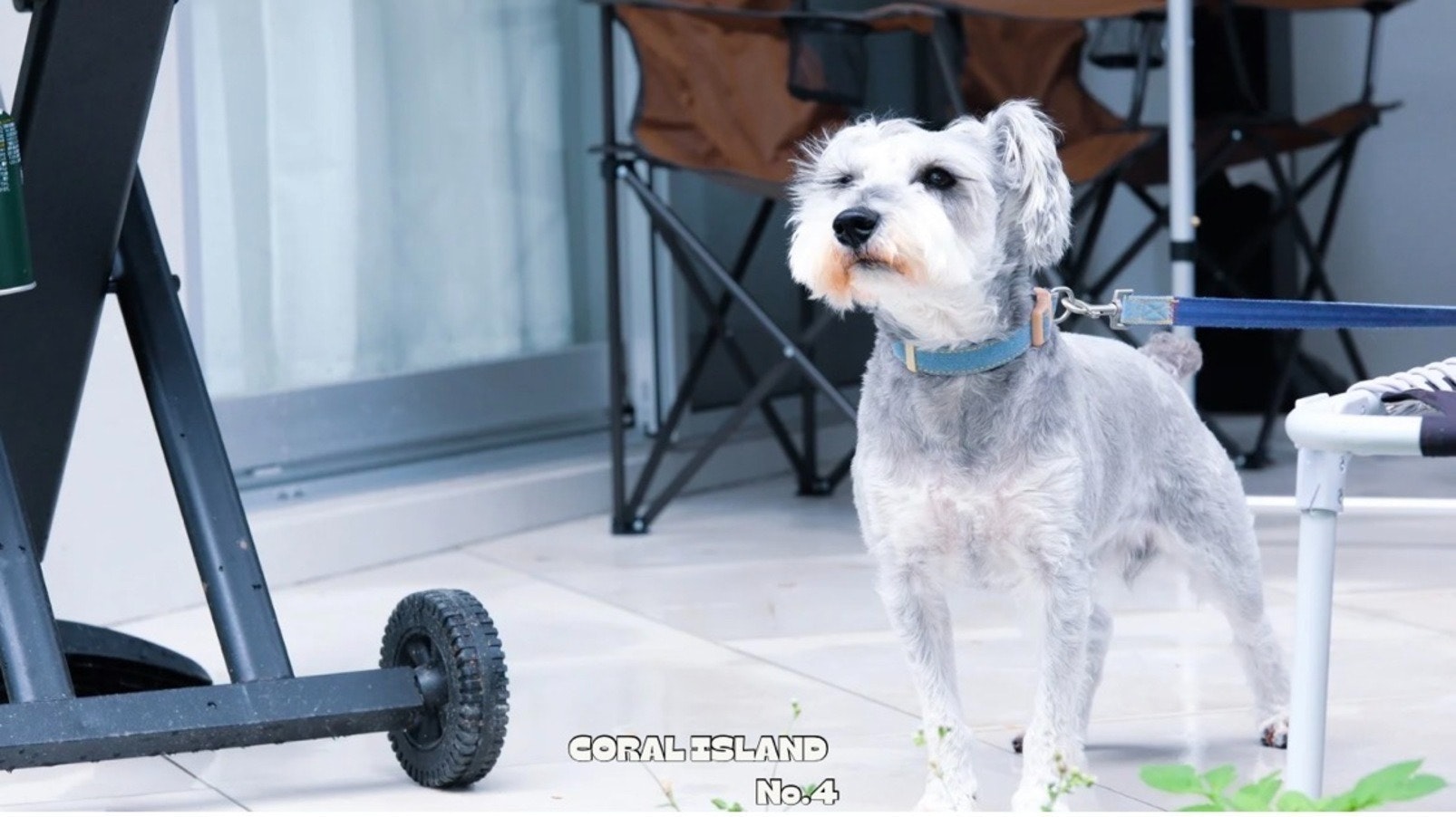 【No.4・素泊まり・大自然に包まれた1日1組限定のBBQ可能なジャグジー付きヴィラ】