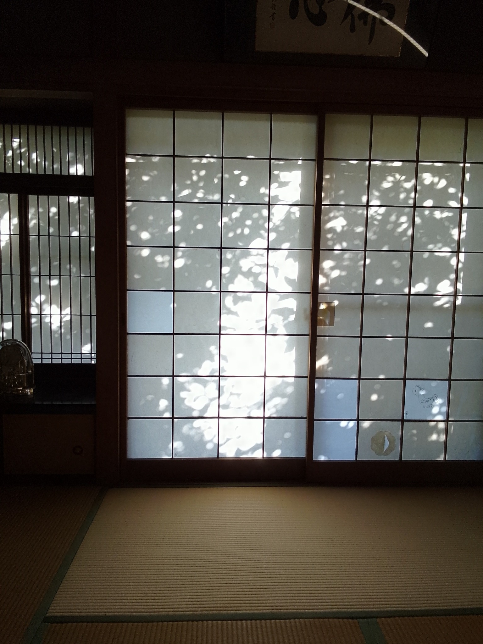 客室【5】