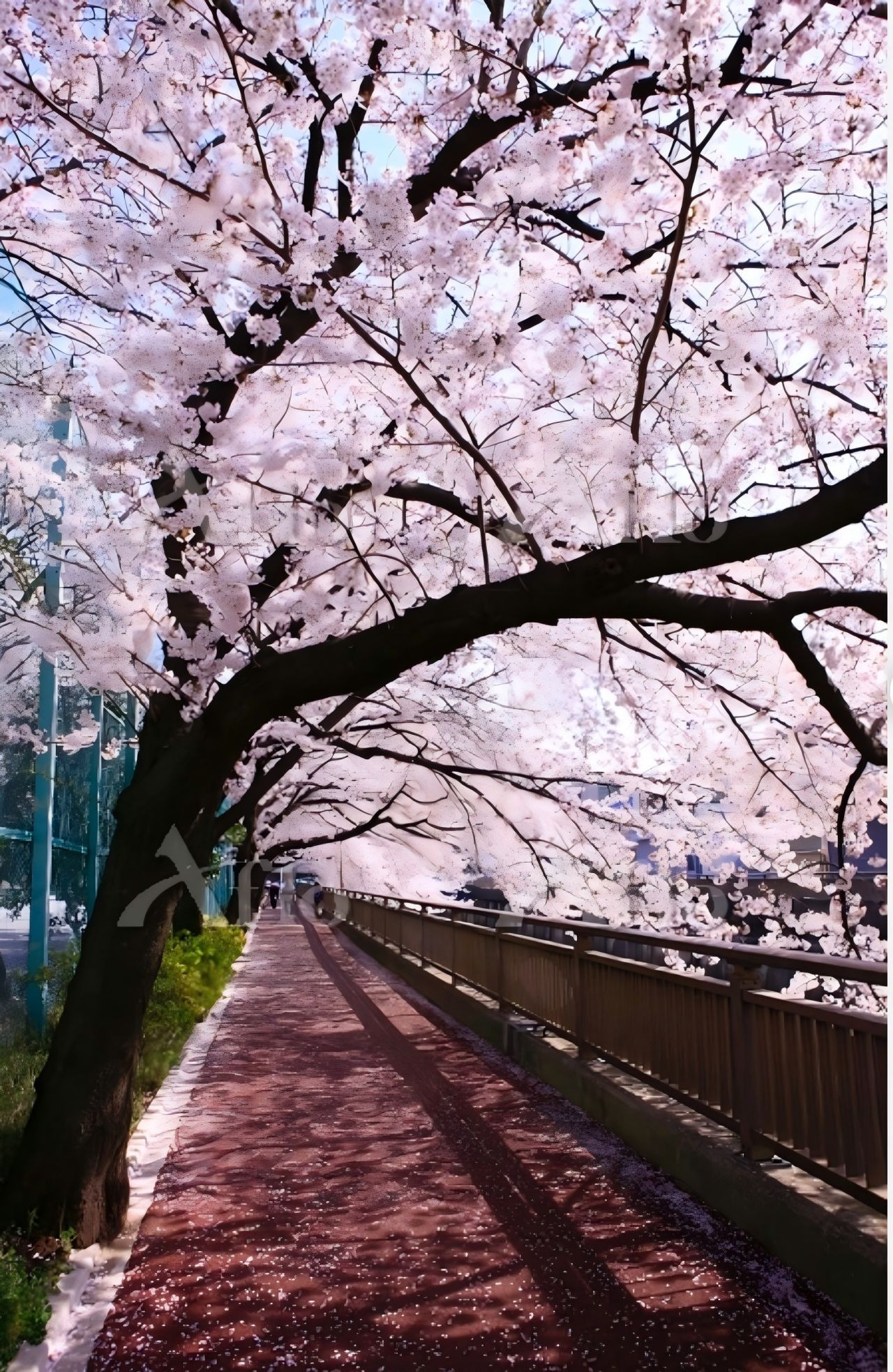 花の郷 板橋/民泊のnull