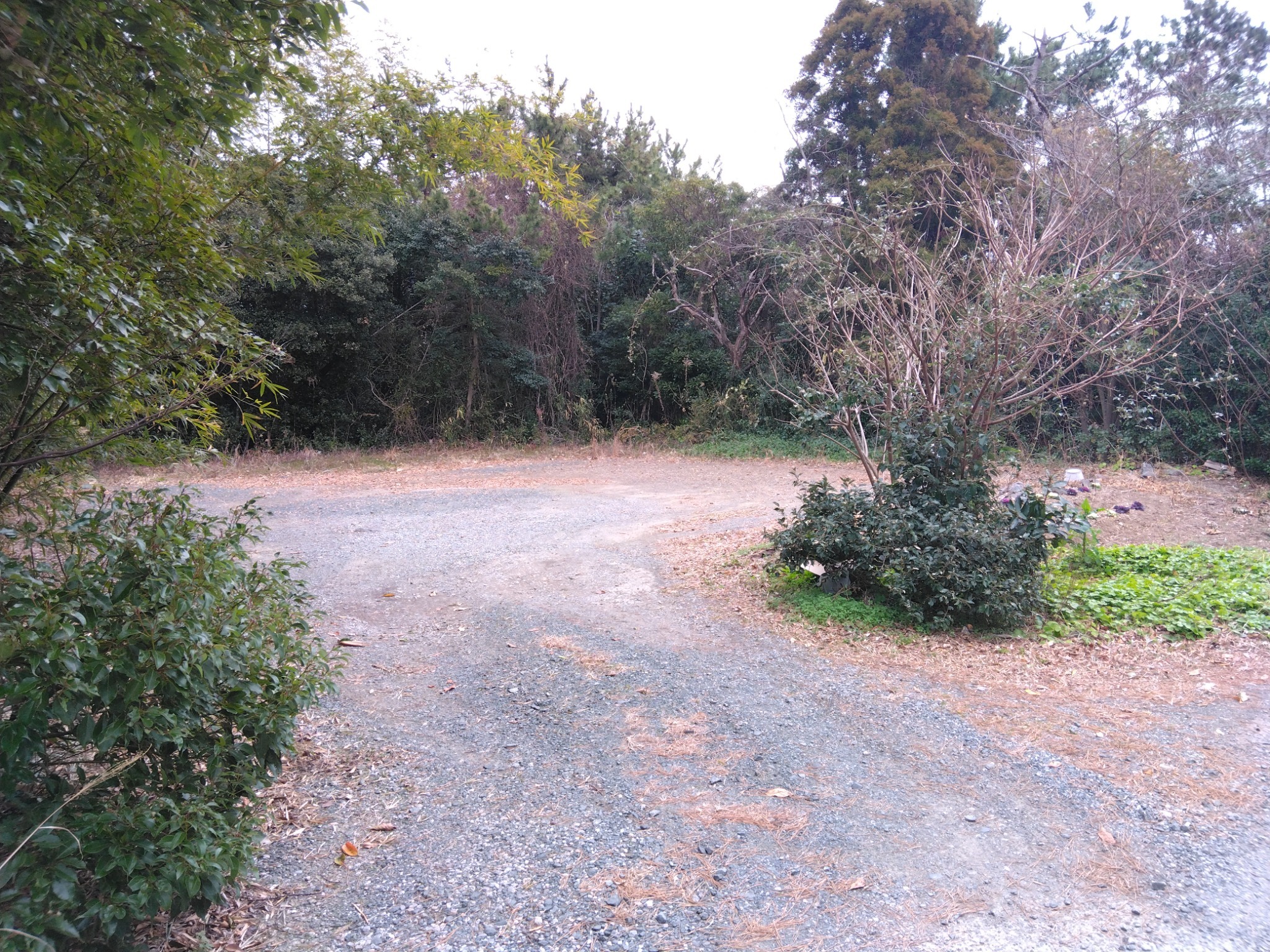 ビジネス(素泊まり)