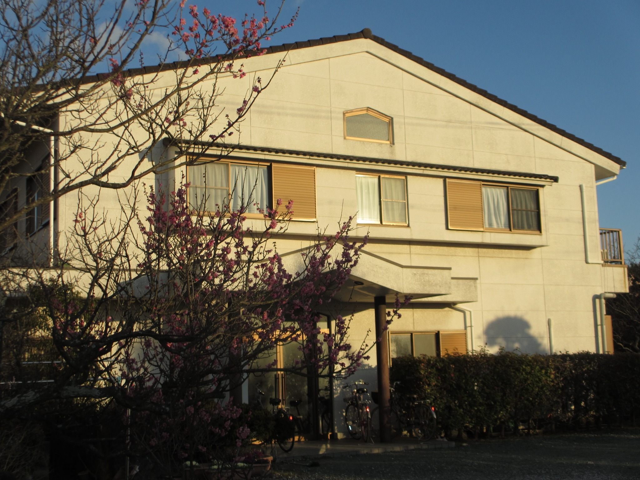 ビジネス(素泊まり)