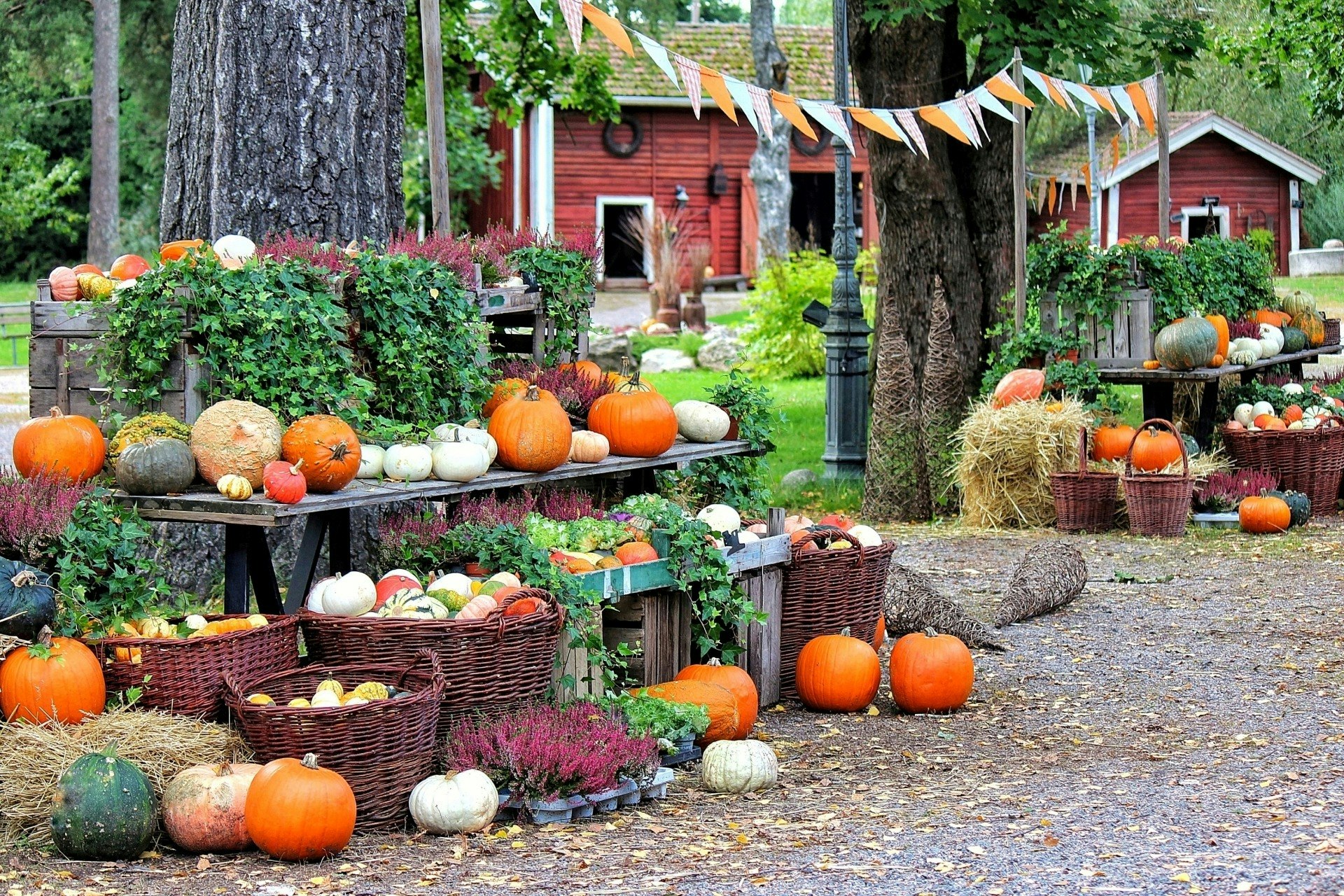 【期間限定】Happy Halloween!オールインクルーシブ・ハロウィンパーティ