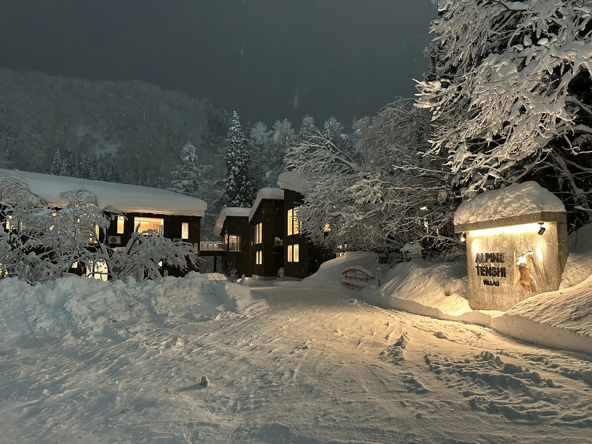 Alpine Tenshi Villas ~弁天 BENTEN~ 4LDK(8 guests)