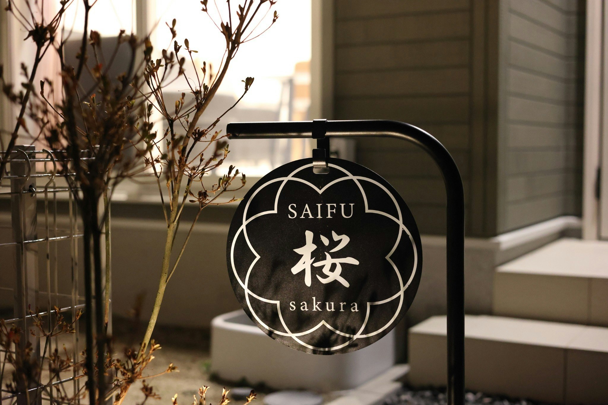 宰府 桜