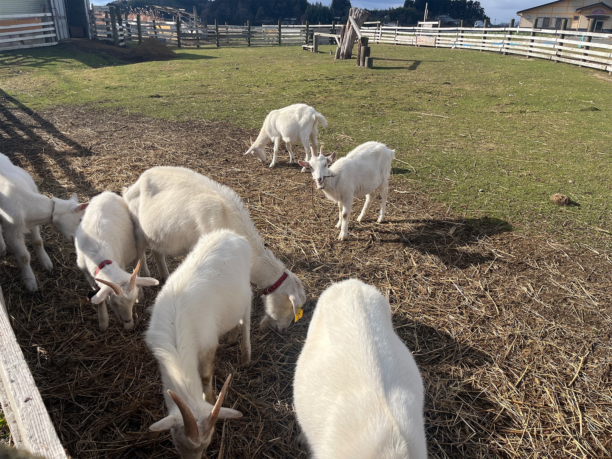 伊豆沼レイクヒル天上 のnull