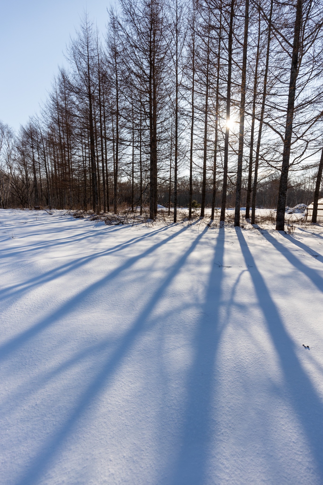 Huntsman Woods Lodge のnull