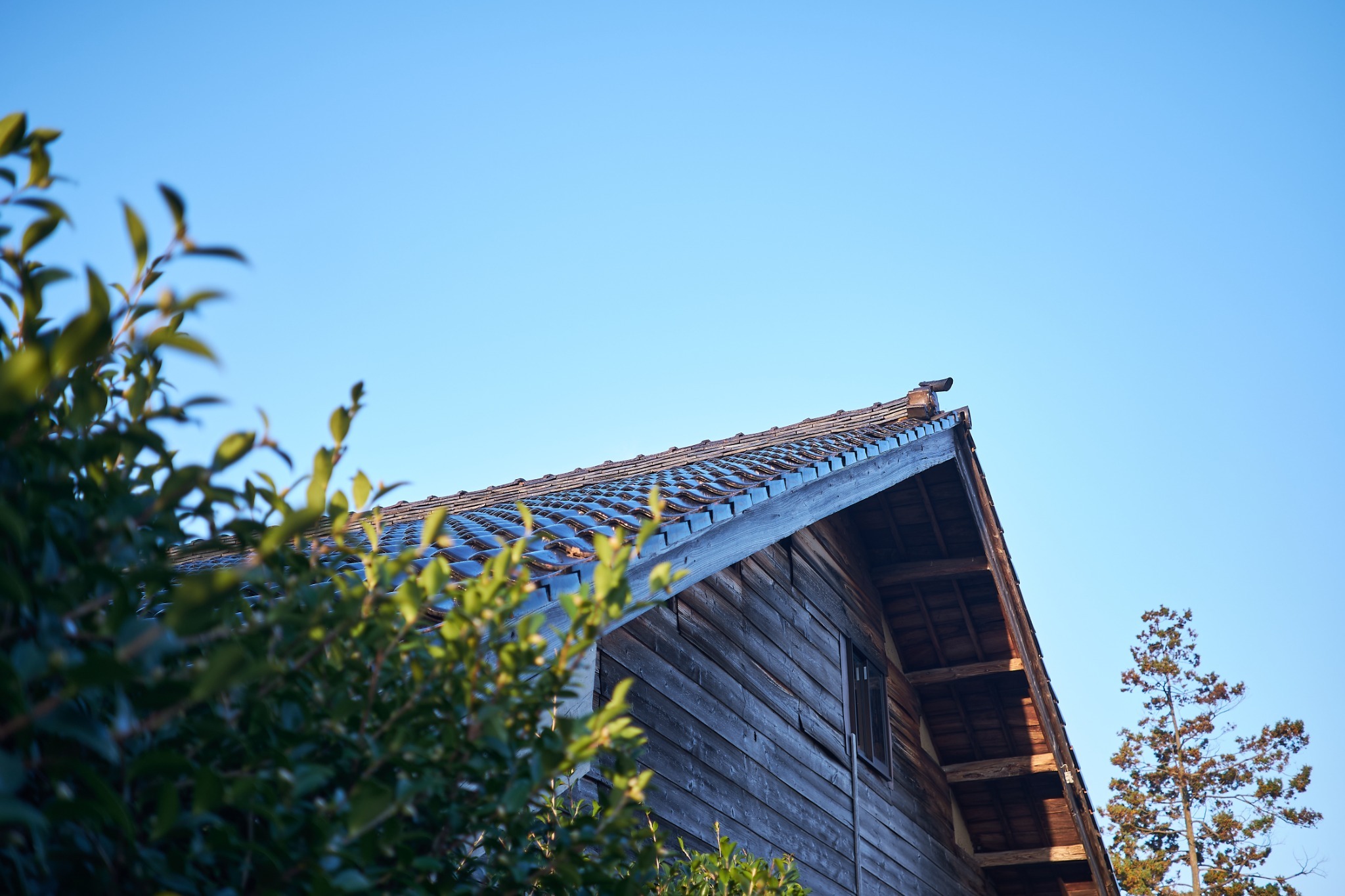 kitan UOZU/民泊のnull