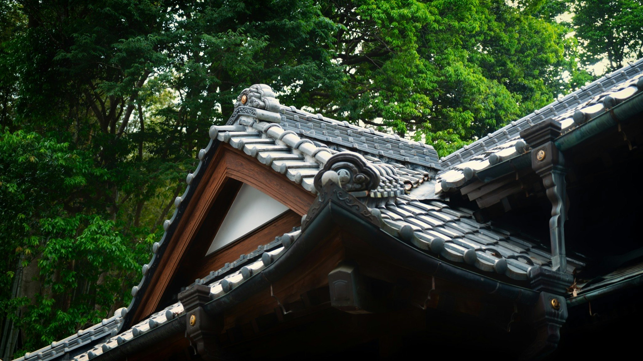 1日1組限定 一棟貸し