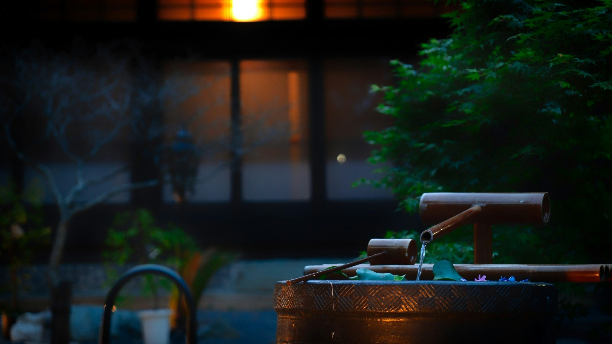 1日1組限定 一棟貸し