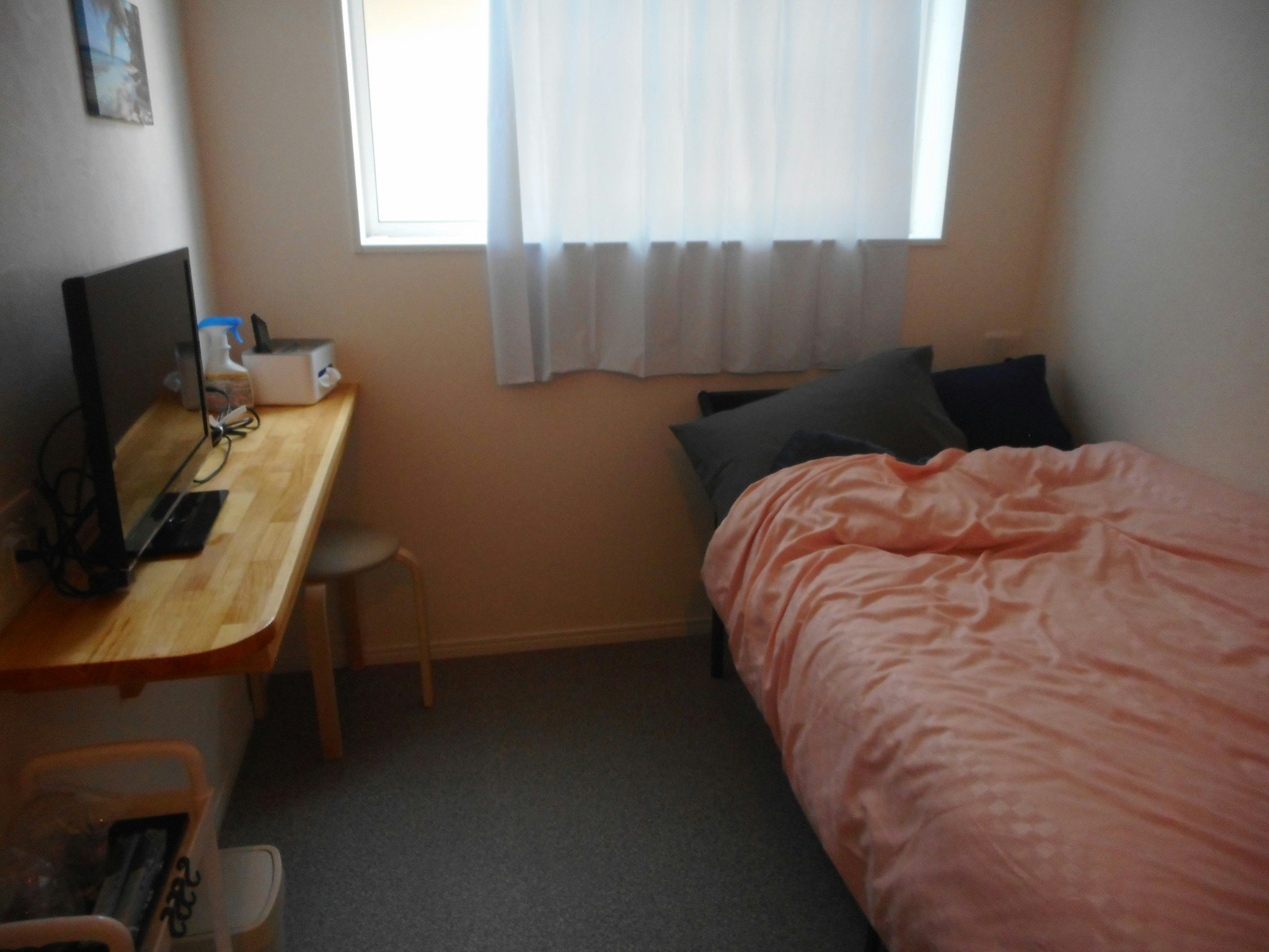 小鳥がさえずり安らぎのある部屋です