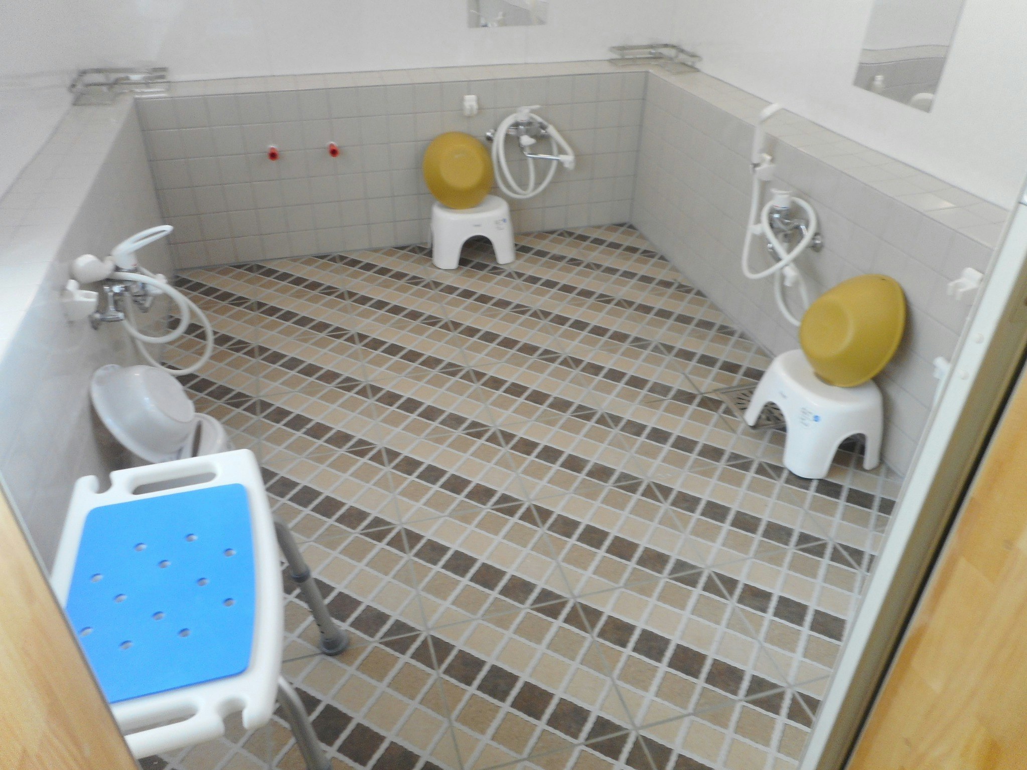 小鳥がさえずり安らぎのある部屋です