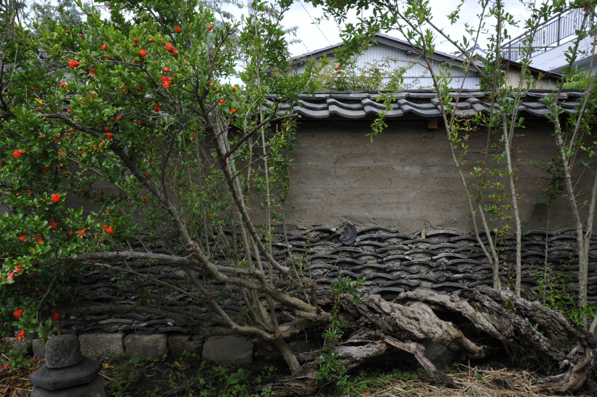 アイショウ 一日ひと組の宿 のnull