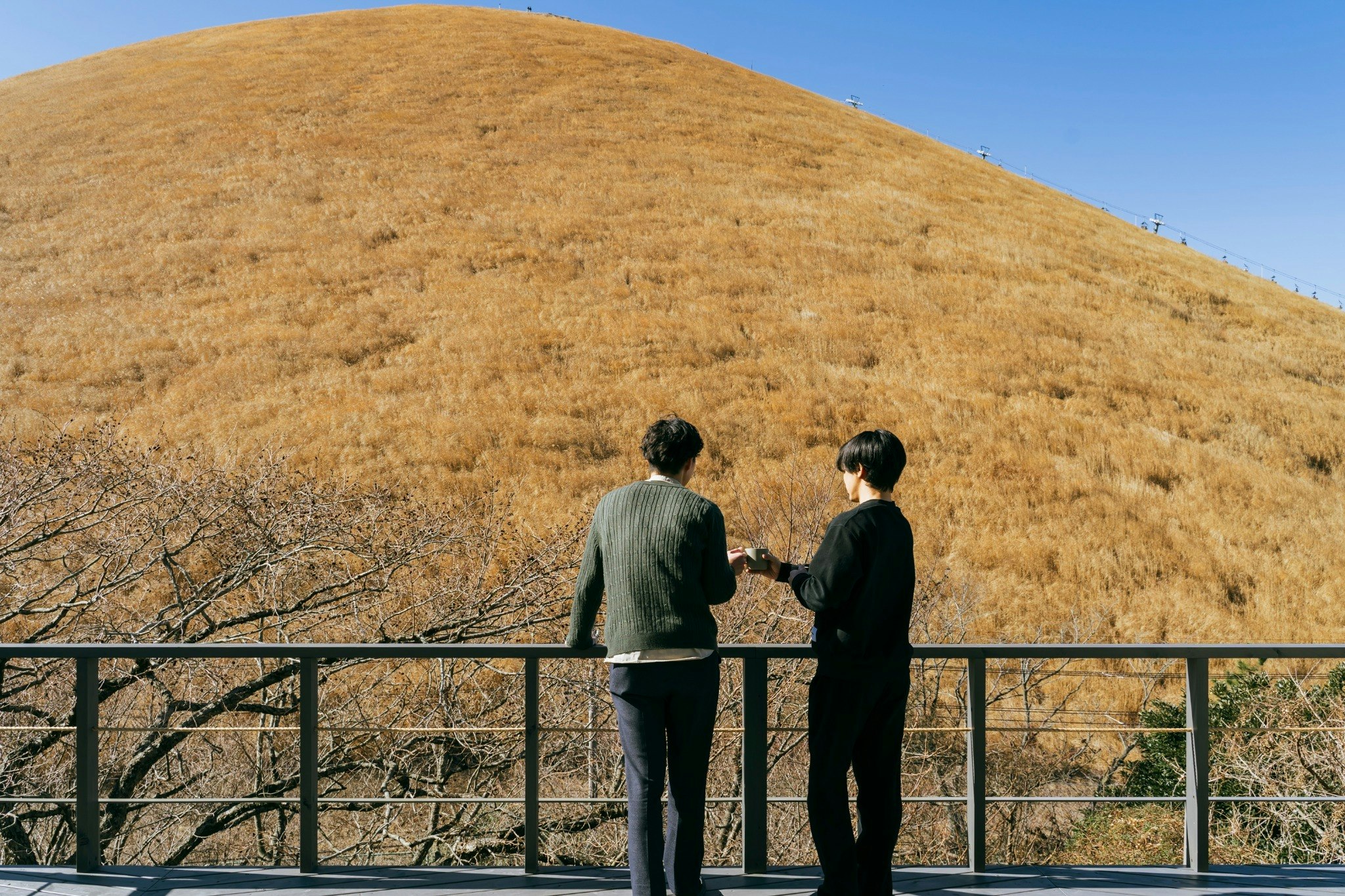 ガラス張りサウナ付き|大室山の絶景を独り占めして鉄板焼きができる一棟貸し宿