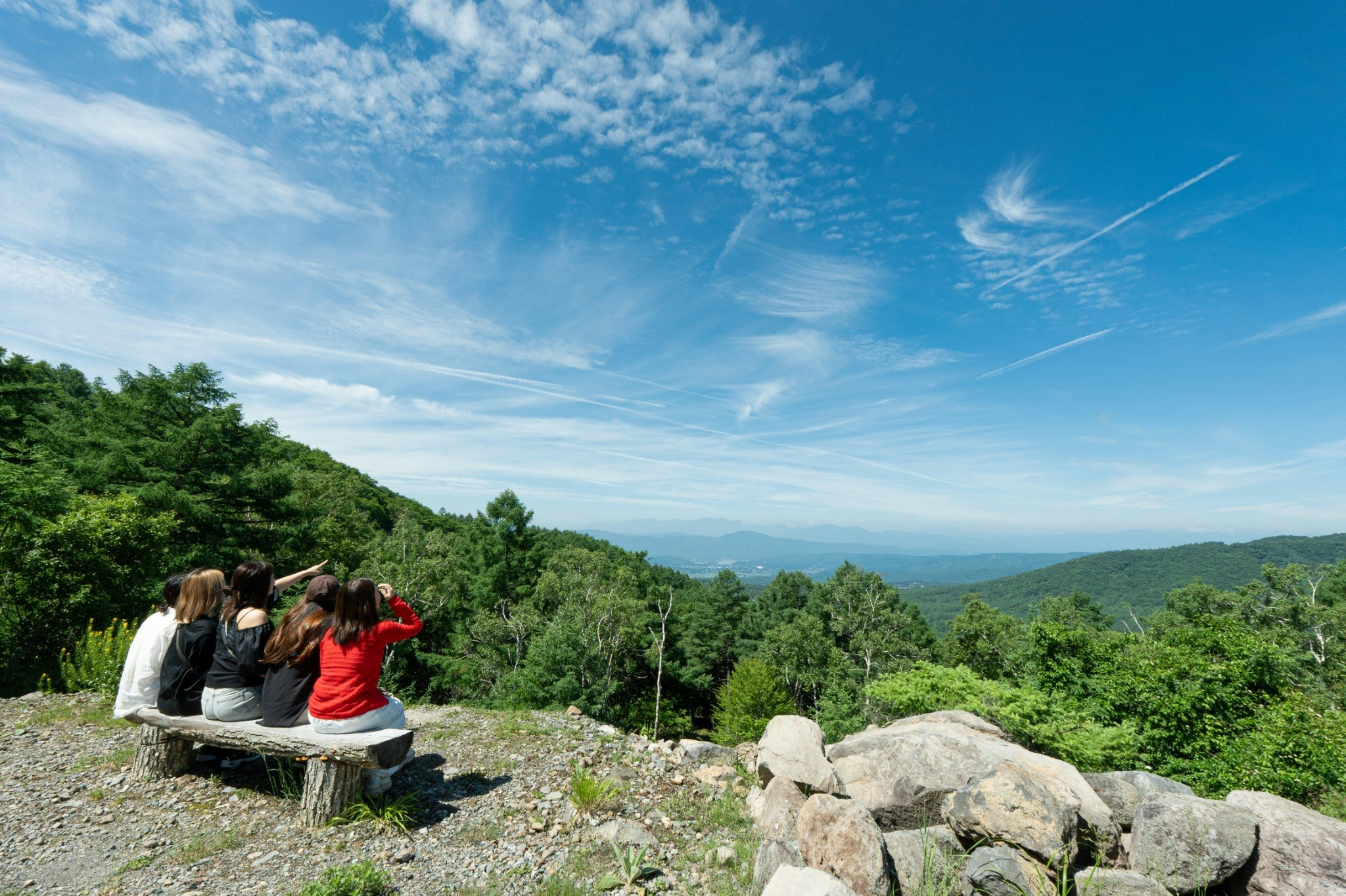 蓼科高原の大邸宅 屋根付BBQ場/サウナ/春は新緑、夏は涼風、秋は紅葉、冬はスキー(徒歩5分)
