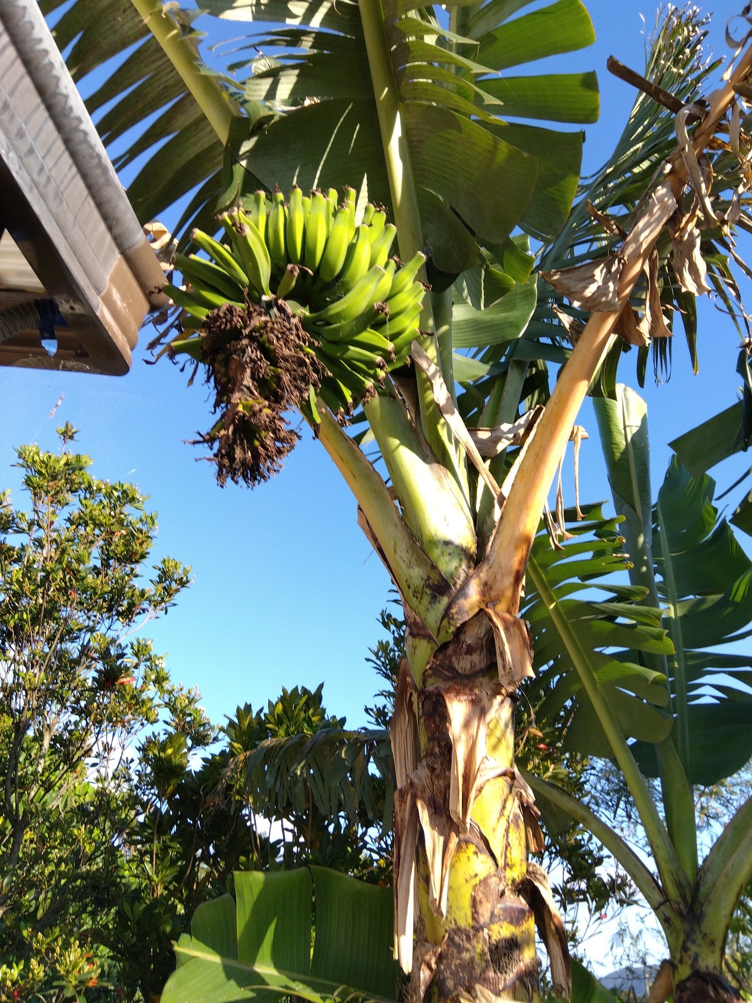 Shima-Asana, Private Yoga Retreat のnull